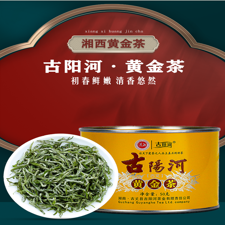 古阳河 金色黄金茶【2024明前茶】50g*1