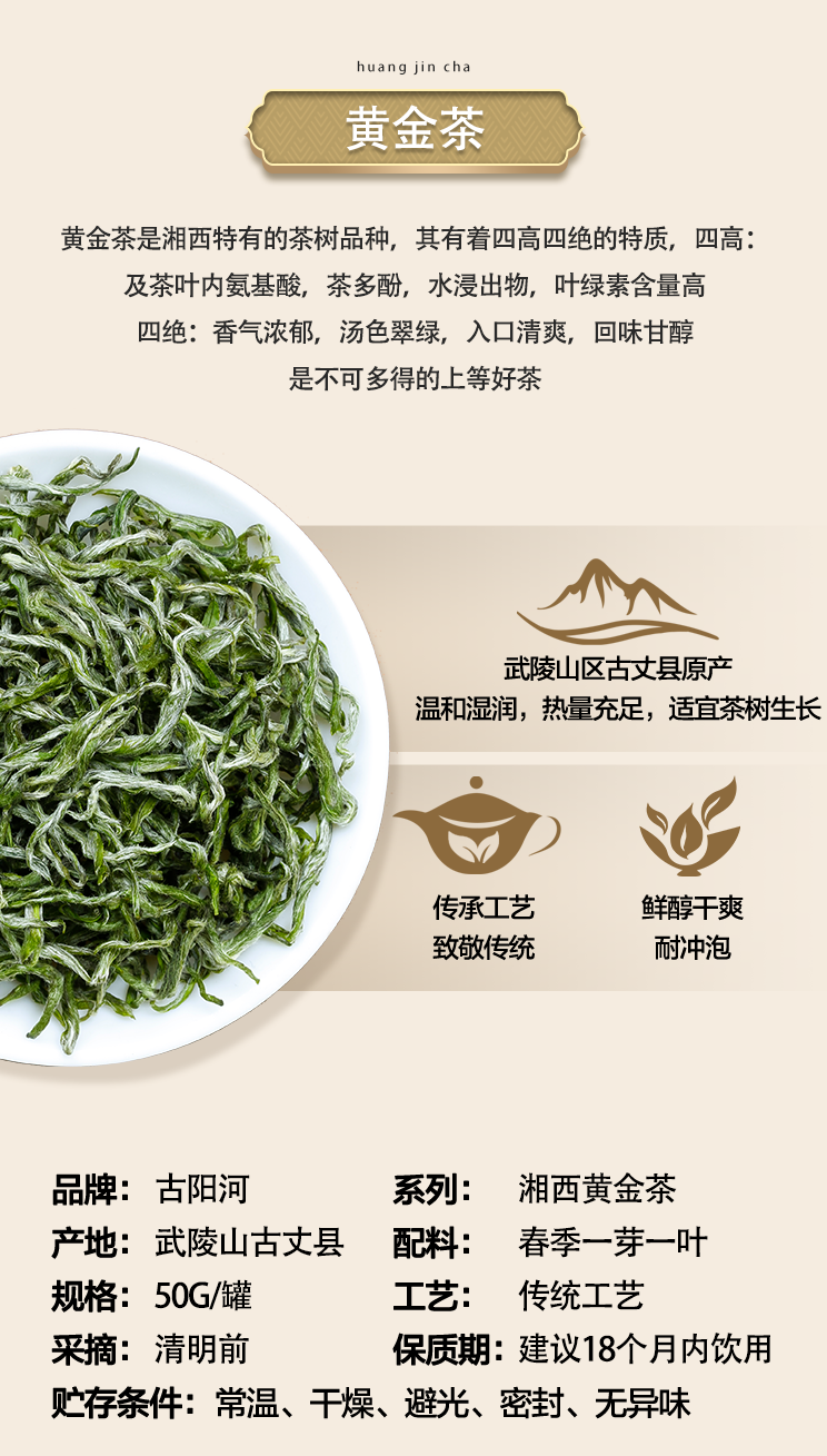 古阳河 金色黄金茶【2024明前茶】50g*1