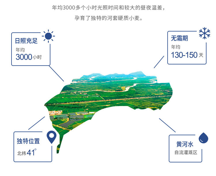 福临门蒙香瑞雪面粉5Kg 适用于包子水饺面条特制一等内蒙古产地面粉