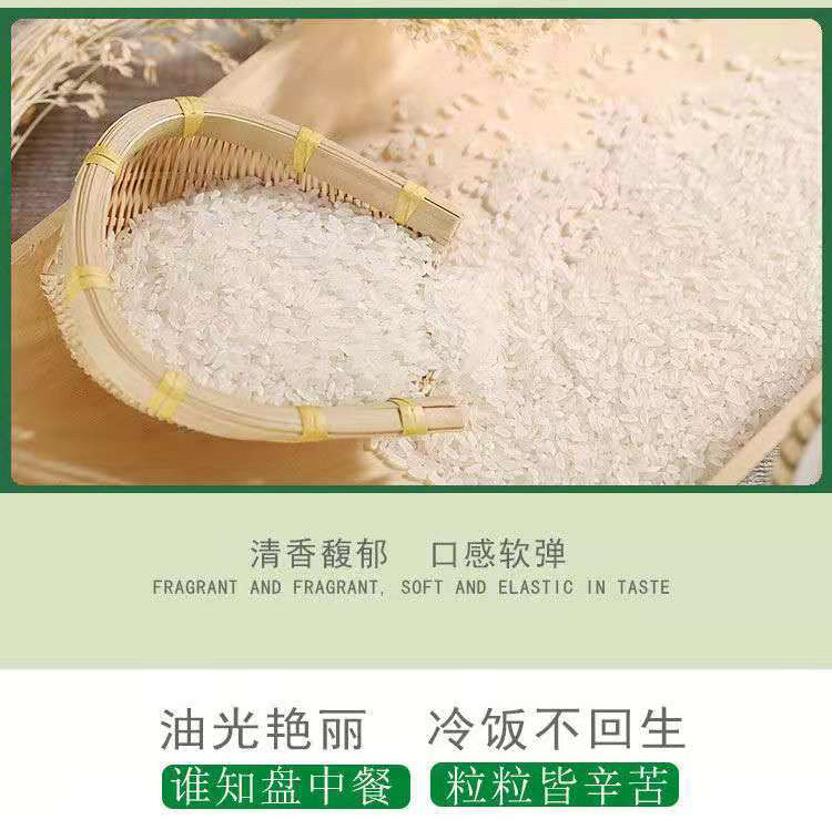 金龙鱼生态香稻5kg东北大米生态米10斤家庭装 粥米寿司 新米