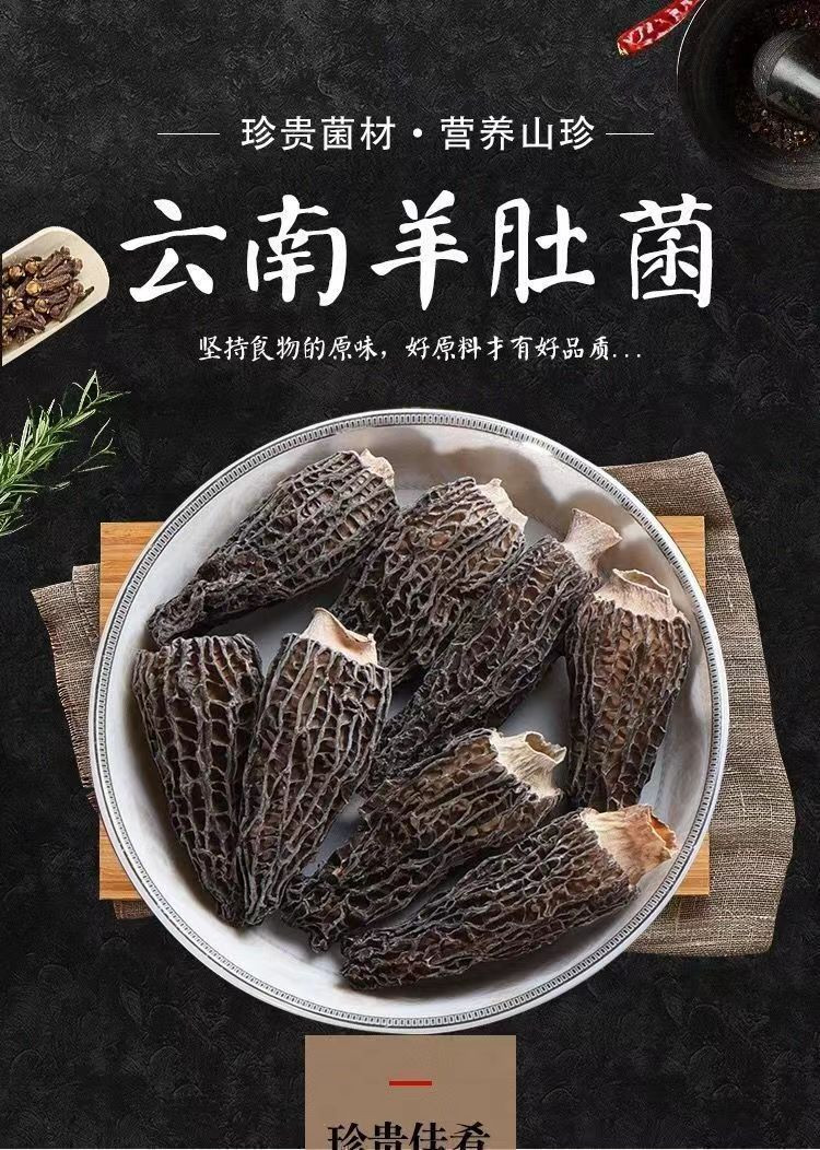 巧贵妃 羊肚菌