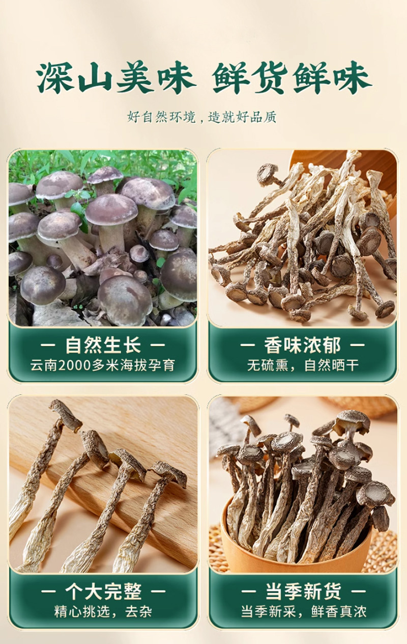 巧贵妃 滋补菌菇汤