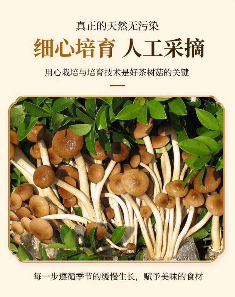 巧贵妃 滋补菌菇汤