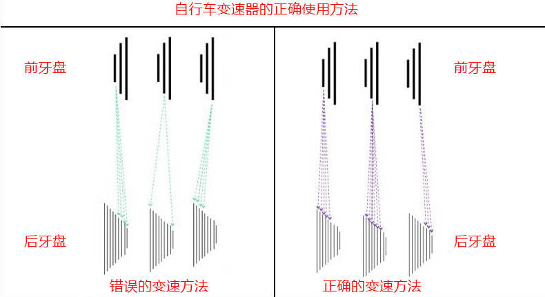 上海永久牌山地自行车24速男女单车青少年越野赛车成人变速公路车跑车