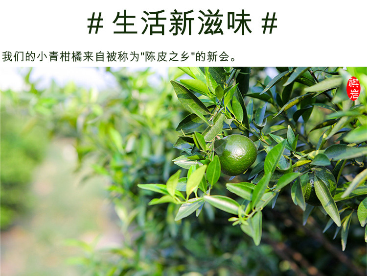 正宗新会小青柑普洱茶陈皮10年宫廷橘普茶叶熟茶250g600g散装批发