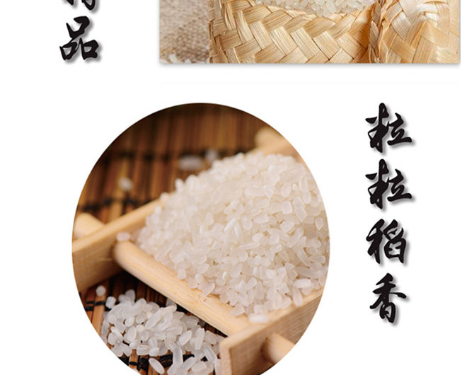 寒地黑土 东北大米5斤农家自制珍珠米圆粒米 2.5kg×2袋装