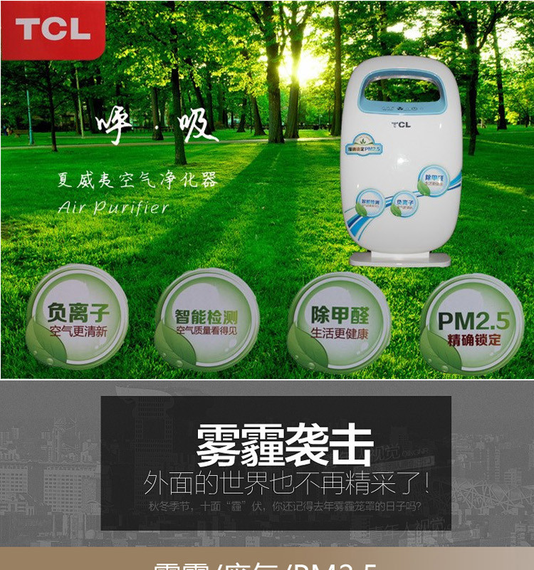 TCL 夏威夷空气净化器TKJ-F08A