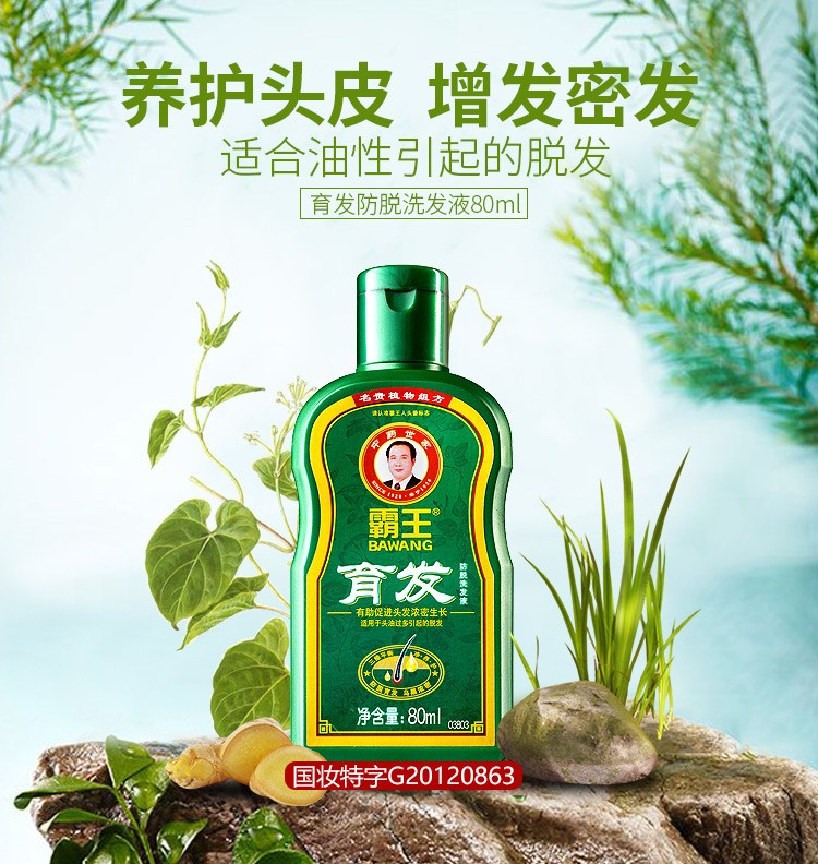 霸王 育发防脱洗发液（防脱型）80ml*2瓶