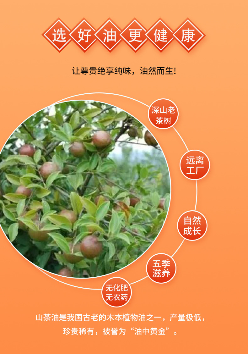 纳福汇 山茶油佳节礼盒