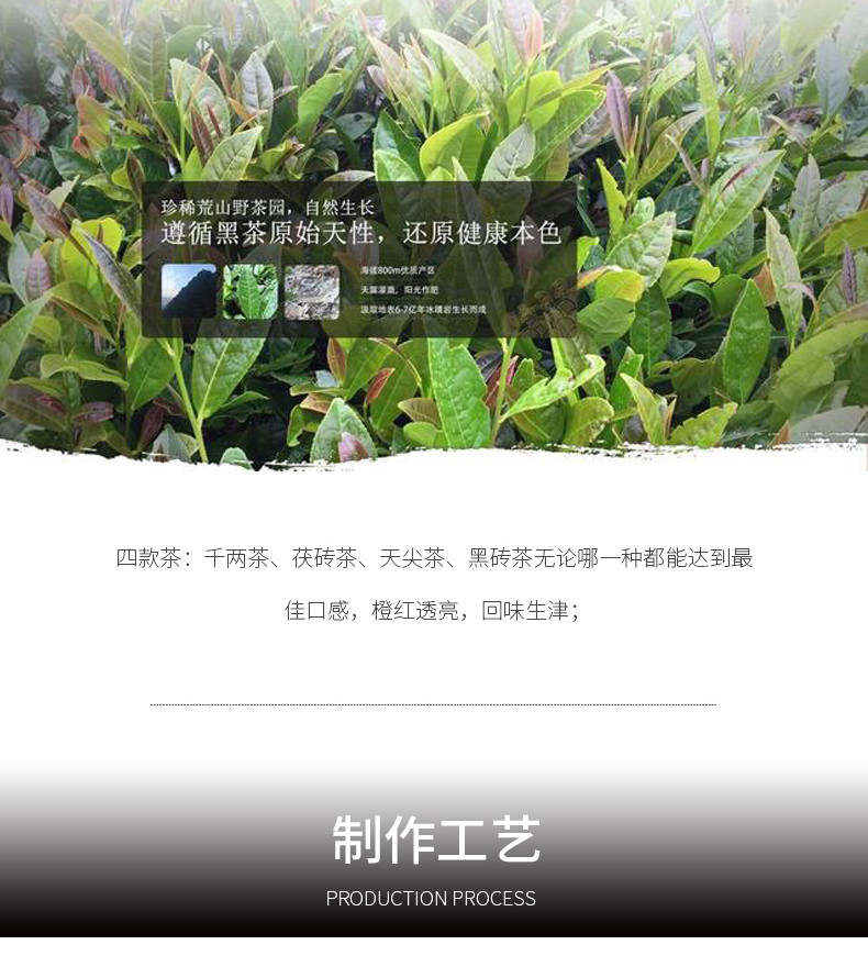 【TEA简尚·黑茶伴礼】国殷 热买好茶 自饮 安化黑茶 金花茶 茯砖茶 手筑茯茶 员工福利