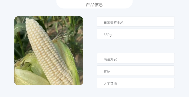 农盼 白富美鲜玉米