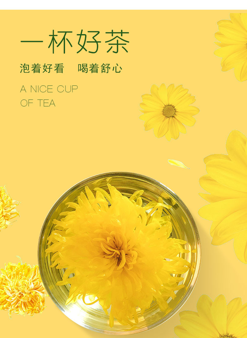 黔南 瓮安【金丝皇菊】省内包邮