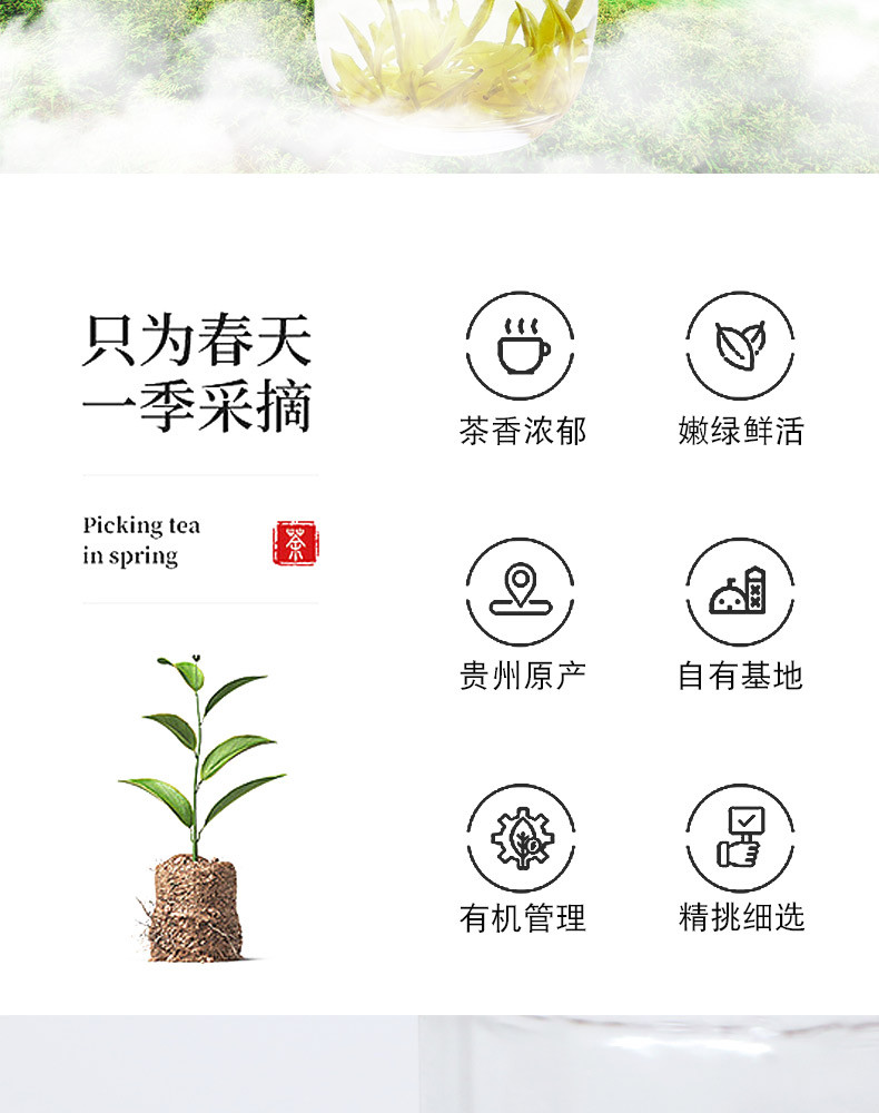 黔南 瓮安【瓮安欧标白茶】白茶珍品 2两  省内包邮  2020年新茶