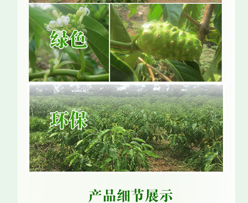 月容雅妆诺丽果酵素新肌洗面奶100g/支