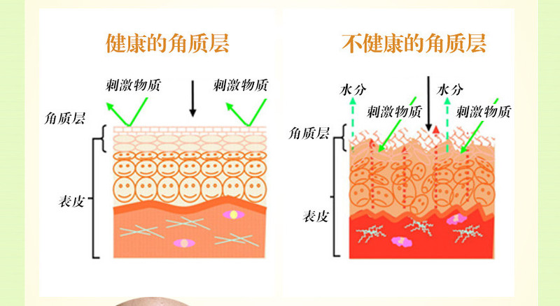 月容雅妆五谷活颜柔肤水120ml/瓶