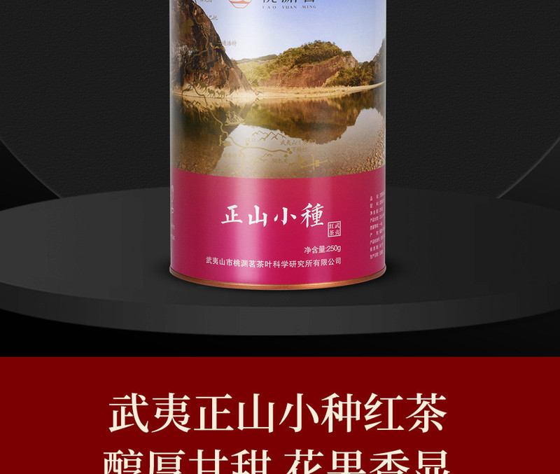 桃渊茗 武夷山茶叶正山小种250g 桃渊茗万里茶道系列 原产地直邮