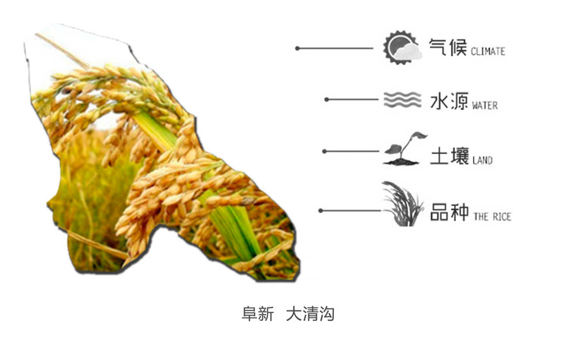 辽宁大清沟景区稻田 东北大米 稻花香品种大米5kg