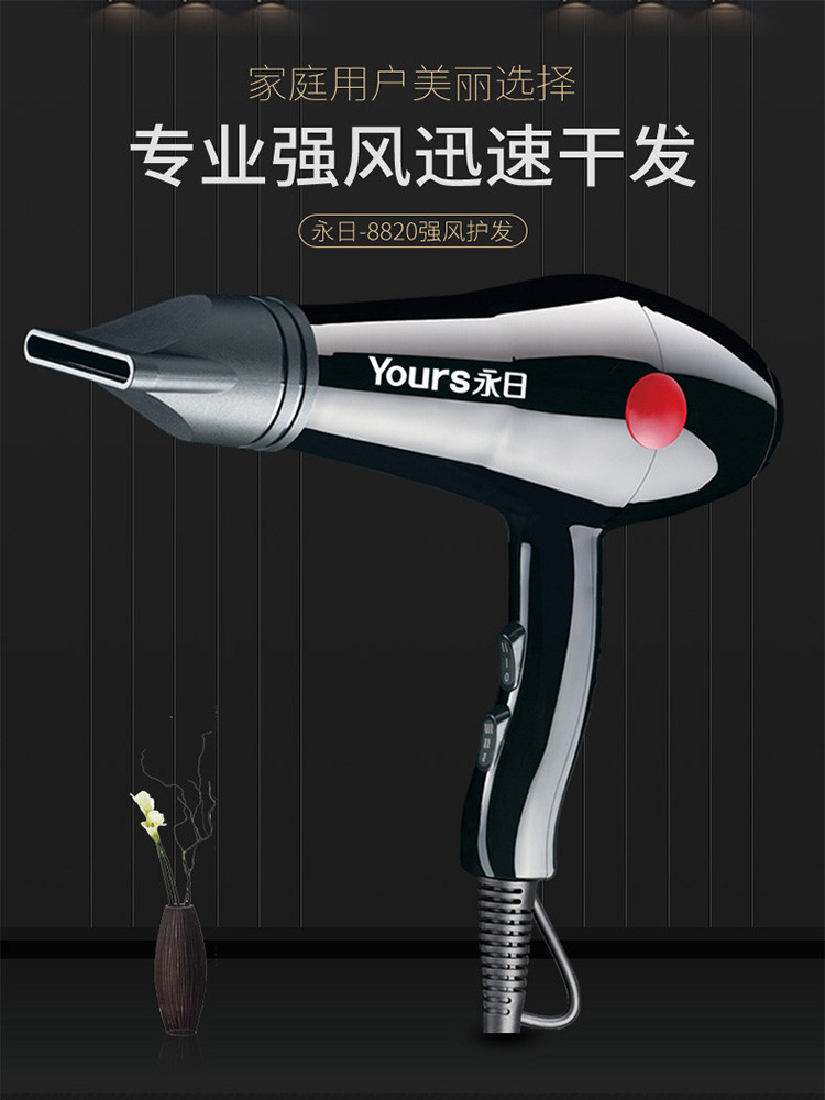 永日（yongri）电吹风机家用大功率2000W瓦冷热风专业吹风筒静音宠物 黑色YR-8820