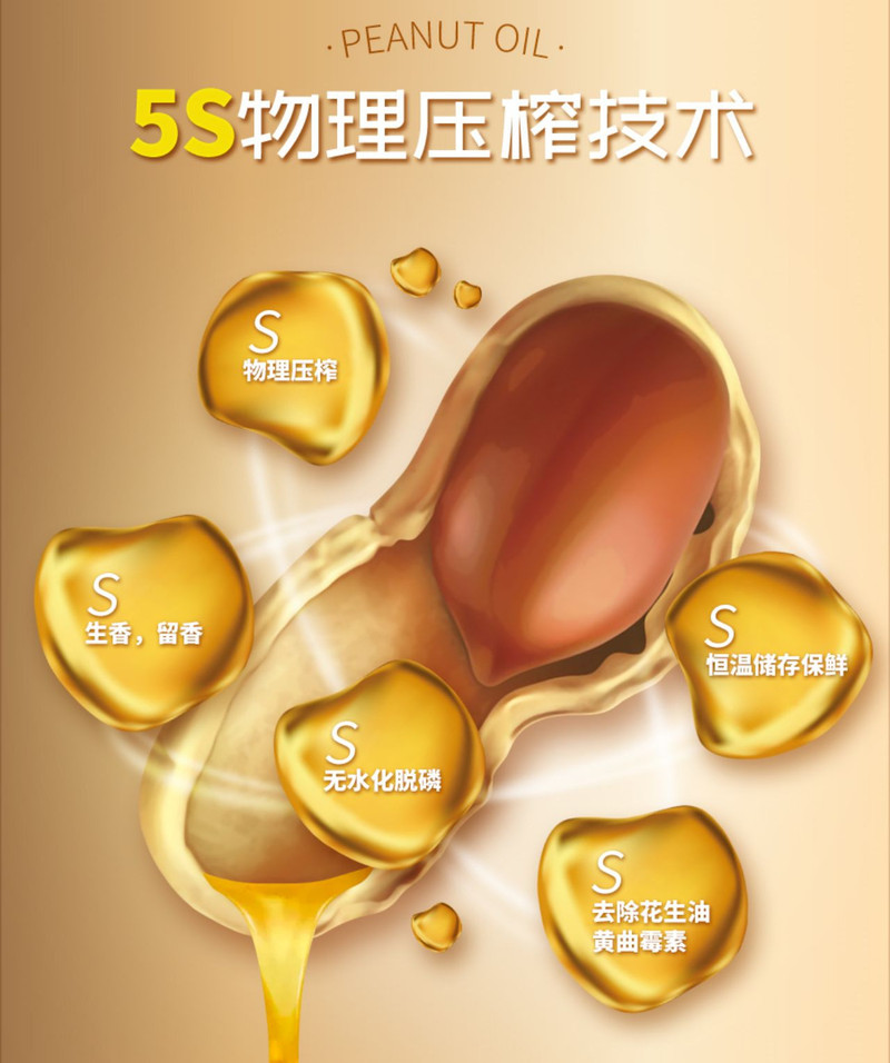 鲁花 花生油油酸多多5S物理压榨900ML