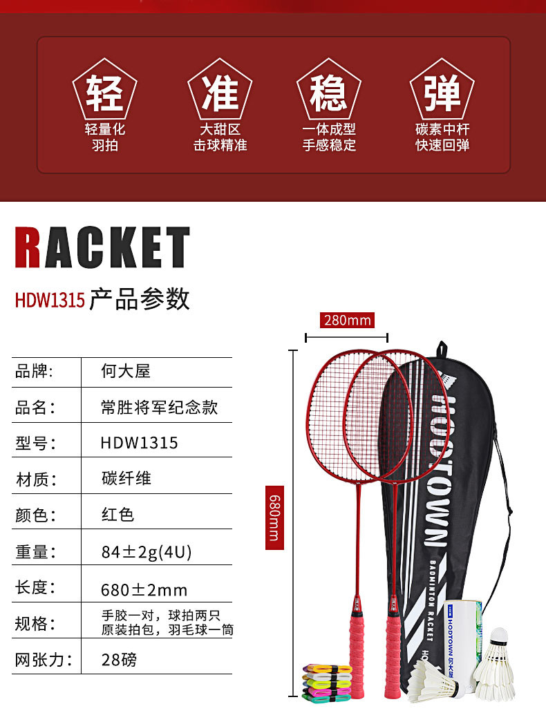 何大屋Hodtown 羽毛球拍双拍成人健身用羽毛球拍2支HDW1315（全碳素）