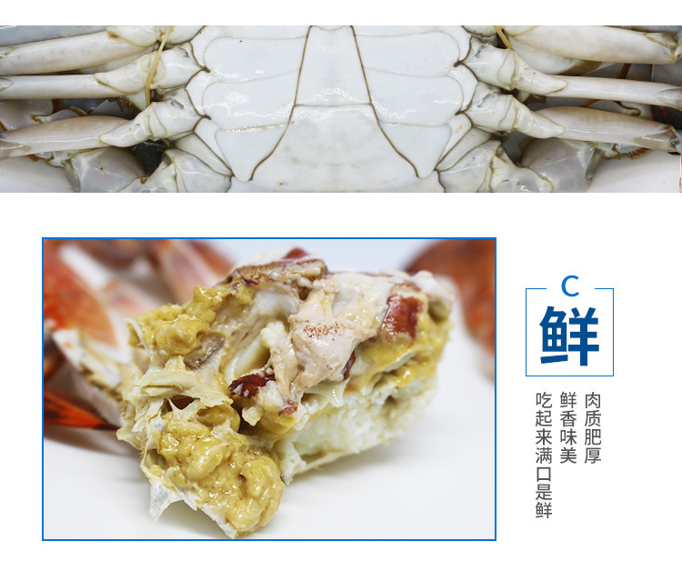 金沙翠 如东本港梭子蟹6只 冻品单只重约3.5两