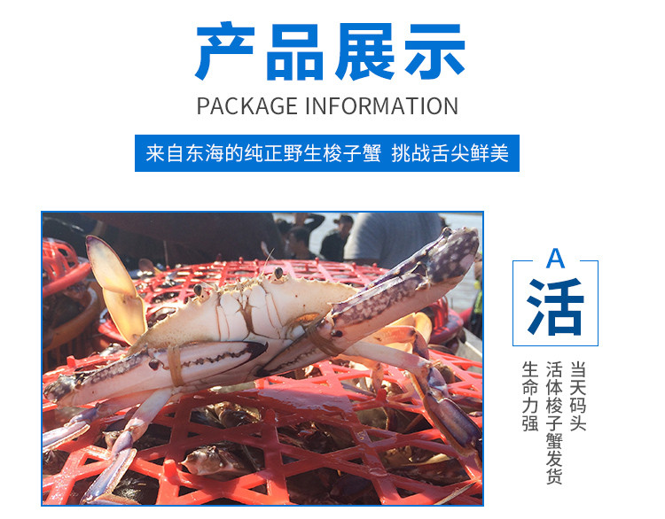 金沙翠 如东本港梭子蟹6只 冻品单只重约3.5两