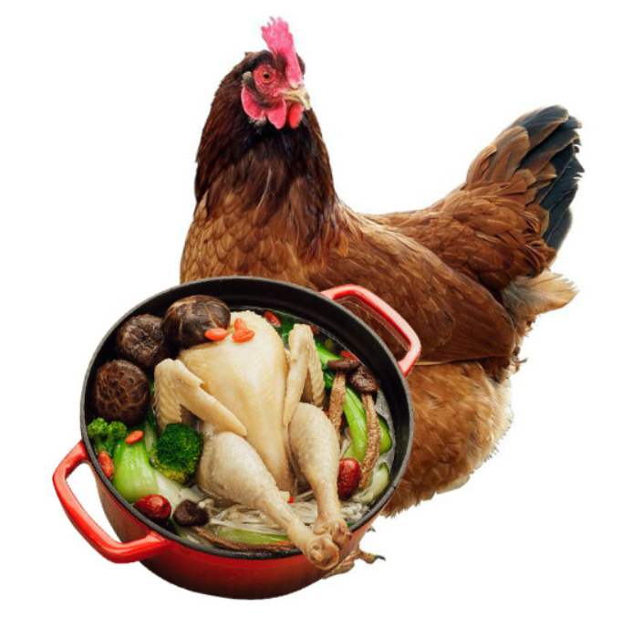 正大食品 【巴彦淖尔市】福利.正大老母鸡1.4kg
