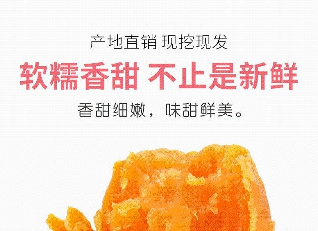 皋膳源 【如皋农品】如皋磨头高沙土小香薯(5斤装 )  【如皋金旺农场产】    江浙沪皖包邮