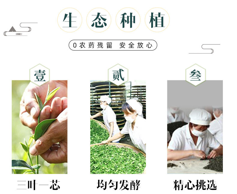 茗皇茶 红乌龙