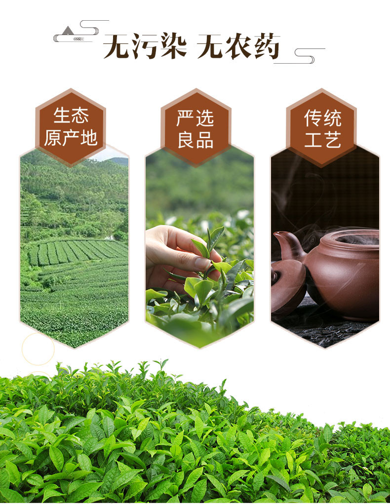 茗皇茶 红乌龙