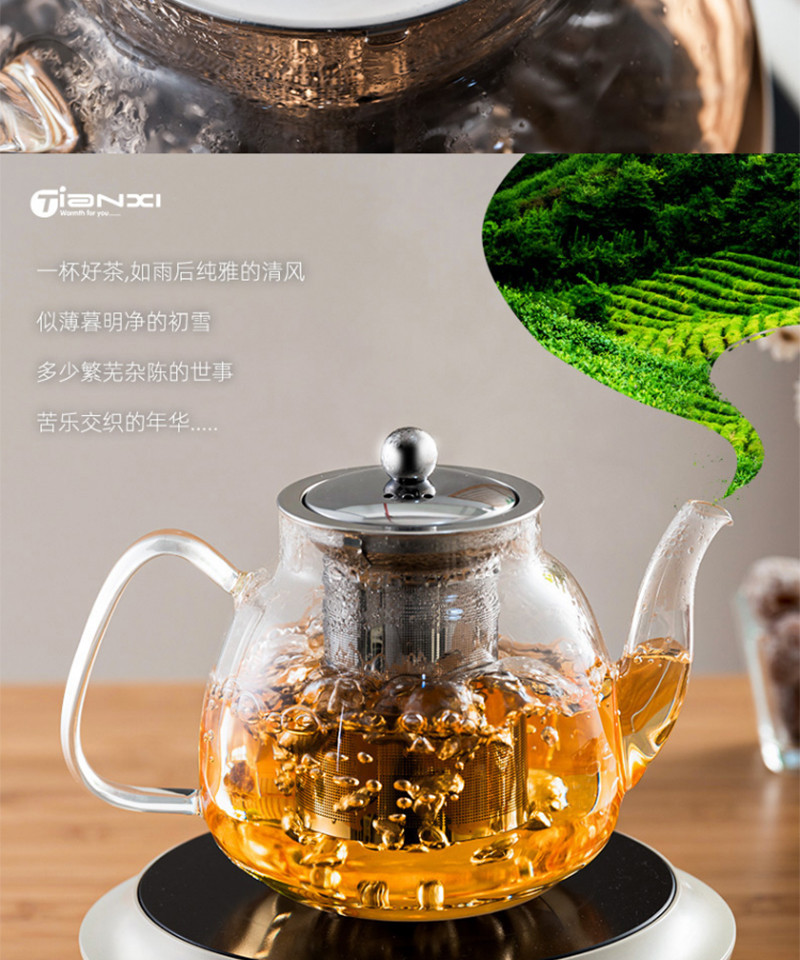 天喜/TIANXI 凉水壶茶具玻璃泡茶壶长嘴茶TBL173-600