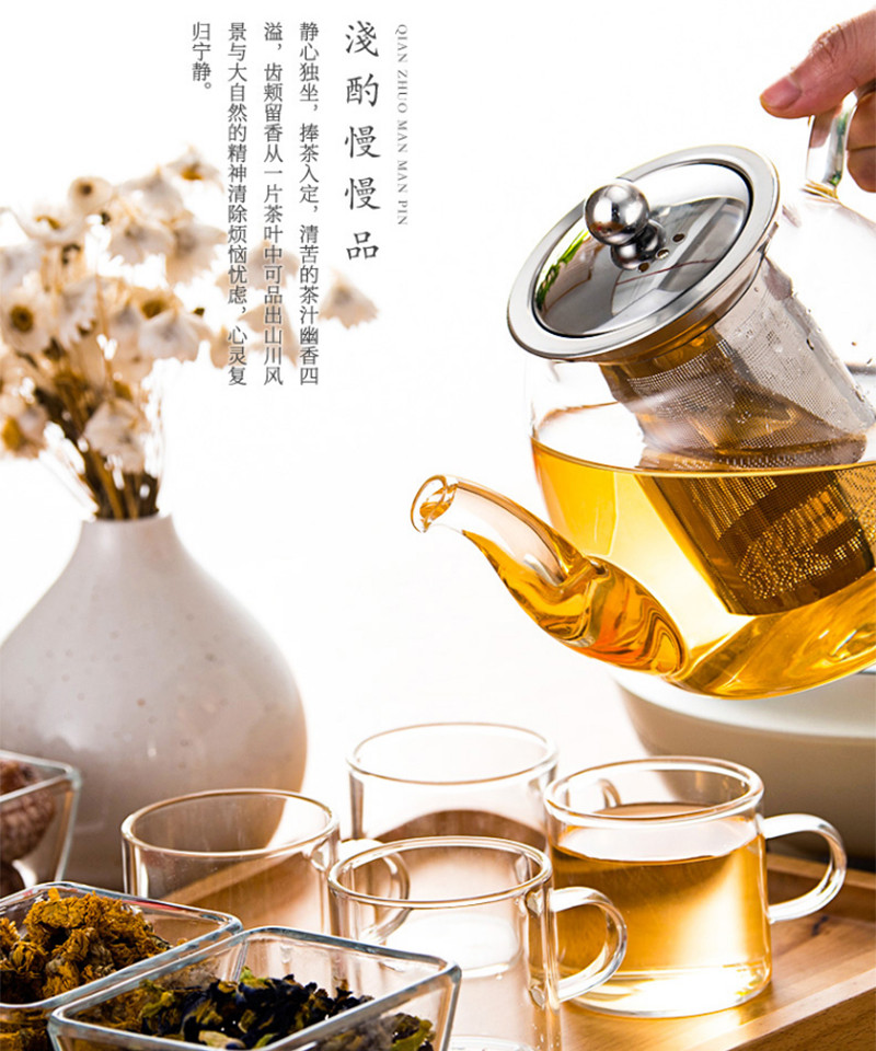 天喜/TIANXI 凉水壶茶具玻璃泡茶壶长嘴茶TBL173-600