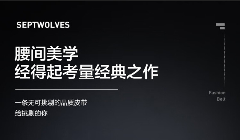 七匹狼（SEPTWOLVES） 自动扣腰带裤带PD722137883