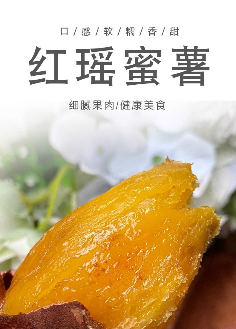 农家自产 薯中贵族-红瑶蜜薯5斤装中果【德州馆】