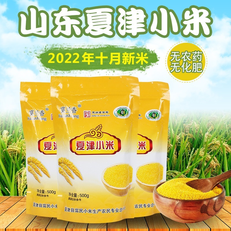 富兰香 【山东邮政】爆款夏津小米 500g/袋*2