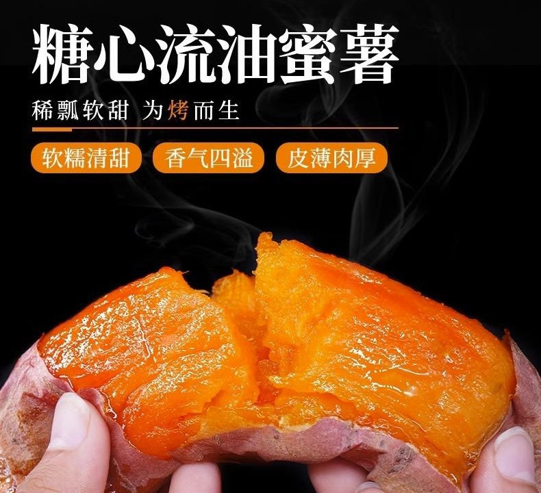 农家自产 【德州馆万单爆款】山东烟薯25号 现挖烟薯/白哈密