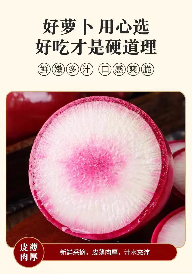农家自产 冰糖心萝卜5斤包邮【德州馆】