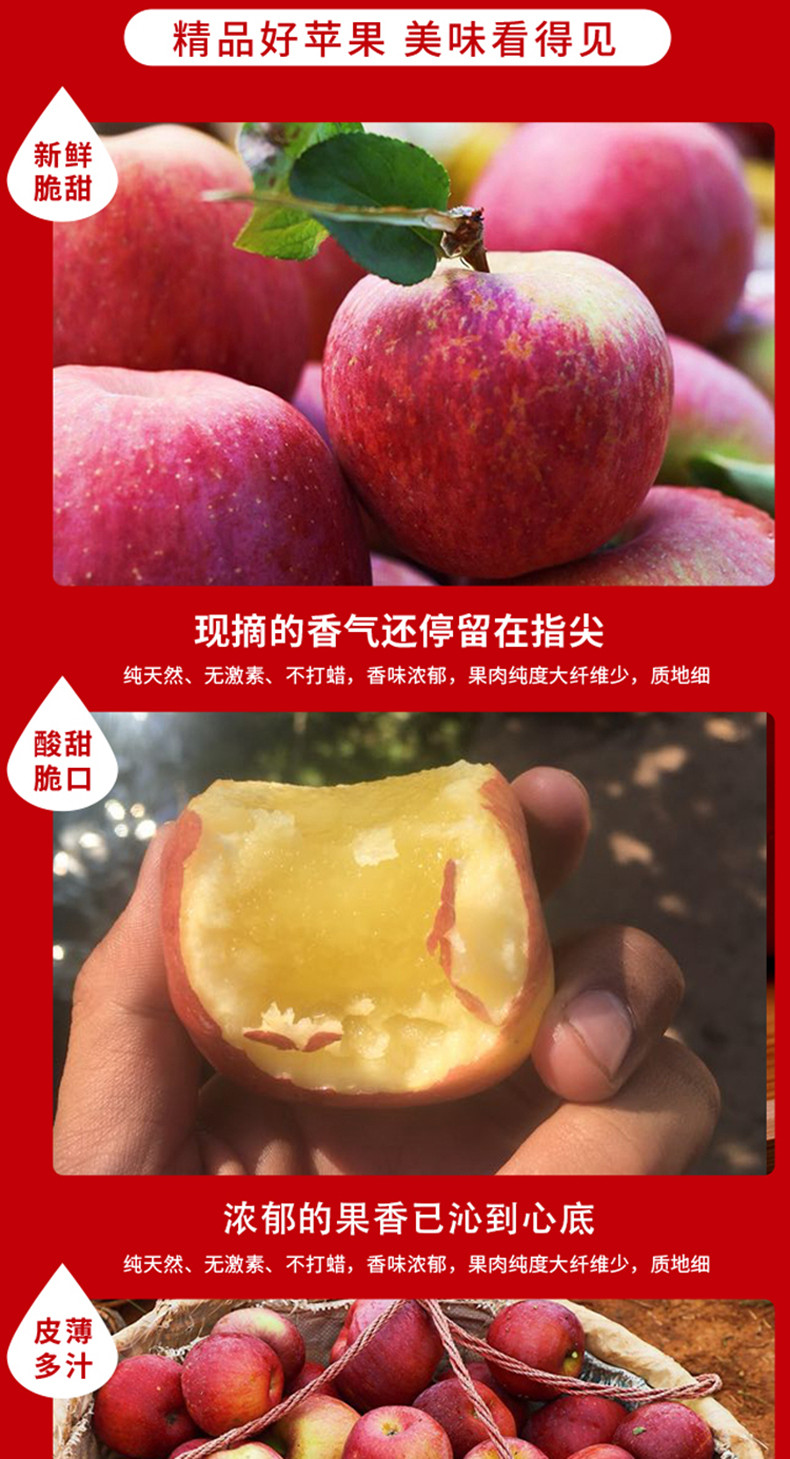 【领券立减10.2元】盐源丑苹果中果5斤/8斤 大凉山脆甜苹果部分冰糖心新鲜水果苹果