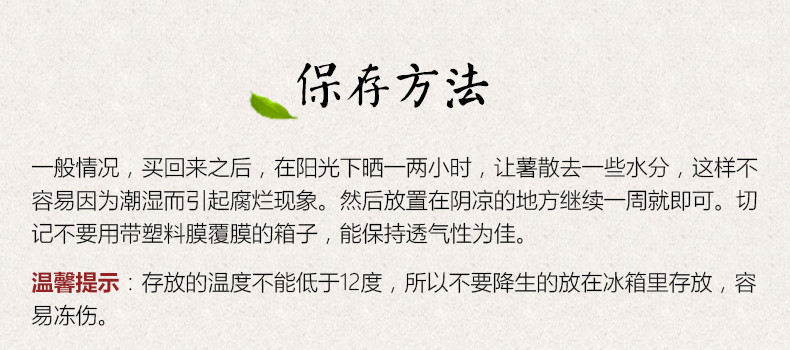 红薯农家板栗薯粉糯黄心红薯金手指地瓜山芋番薯1斤（广东省内包邮，不支持开具发