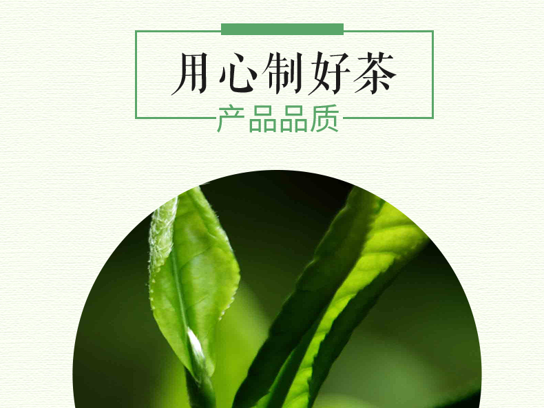 恩施鑫丰牌天然含硒绿茶 50g 袋装5袋包邮 9#