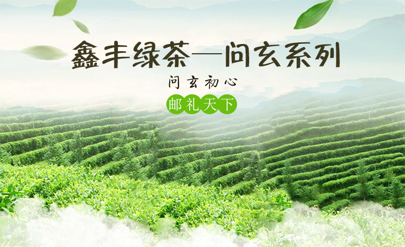 绿茶一级鲜嫩茶叶精品袋装200克三袋包邮