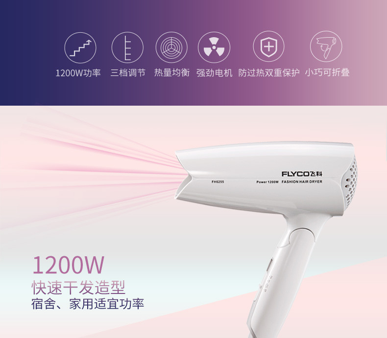 飞科/FLYCO FH6255 家用静音大功率吹风筒可折叠便携式吹风机