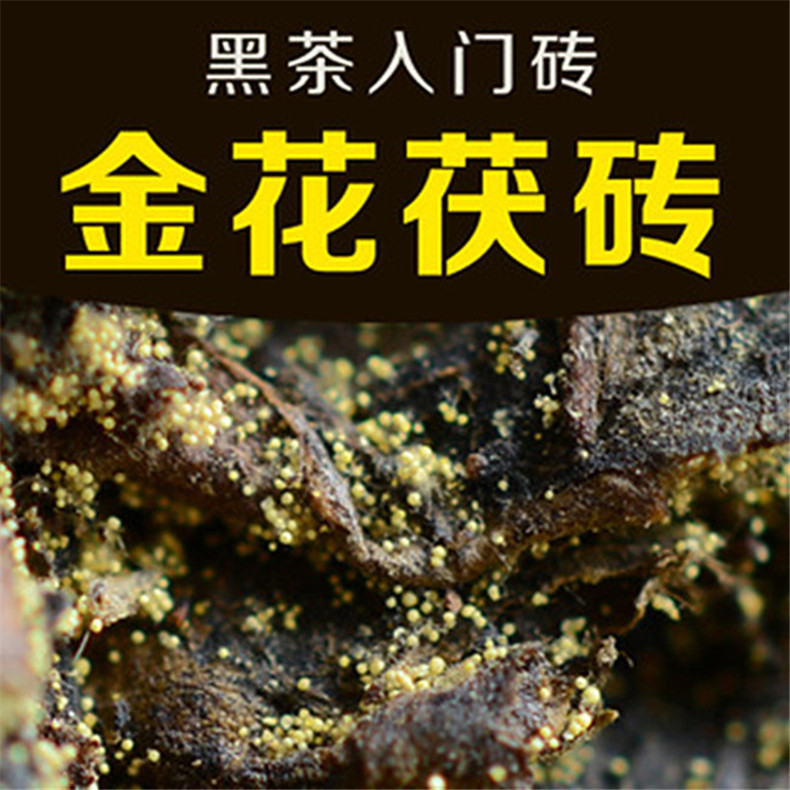 【正品特卖】益叶知安化黑茶湖南特产手工古法黑茶2010年高山野生金花茯砖茶手提袋装800g