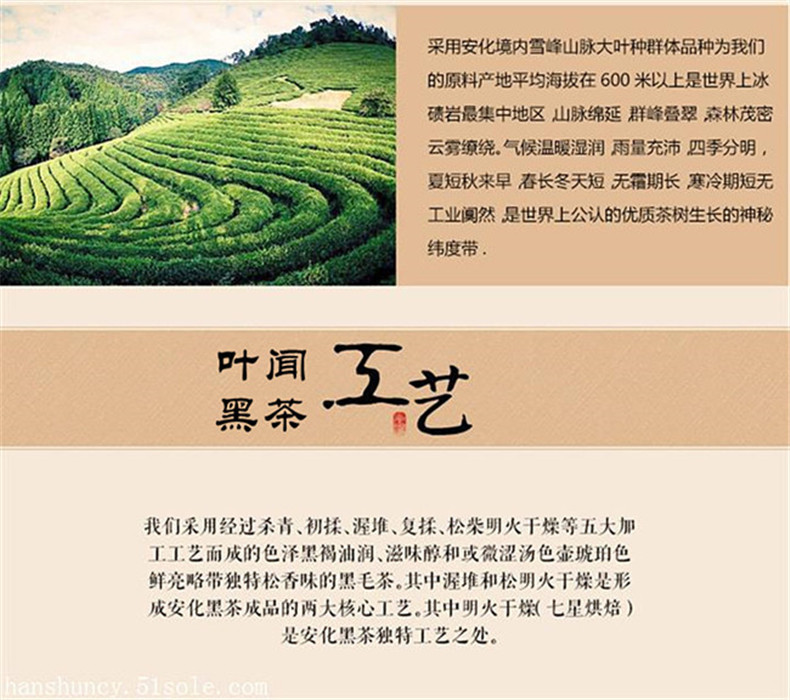 【正品特卖】益叶知安化黑茶湖南特产手工古法黑茶2010年高山野生金花茯砖茶手提袋装800g