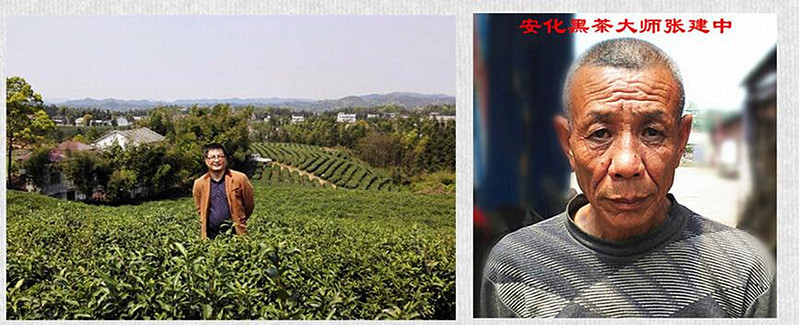 益叶知 安化黑茶湖南特产叶闻2012年千两老茶女士专饮纤靓黑茶双提礼盒装258g*2盒