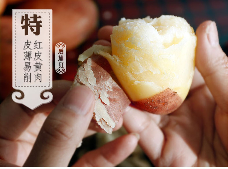 农家自产 中国薯都乌兰察布市马铃薯“后旗红”红皮土豆