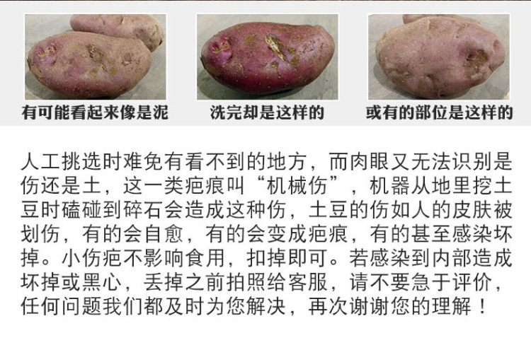 农家自产 中国薯都乌兰察布市马铃薯“后旗红”红皮土豆
