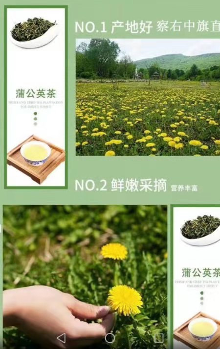 【扶贫助农】【内蒙古】【察右中旗】 蒲公英茶 迎接双十二4罐装/包邮，加送一罐！！49.9元5罐