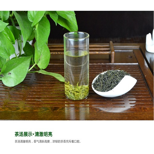 【邮政扶贫】新茶雨前保康春茶保康毛尖类绿茶高山云雾茶叶手工茶