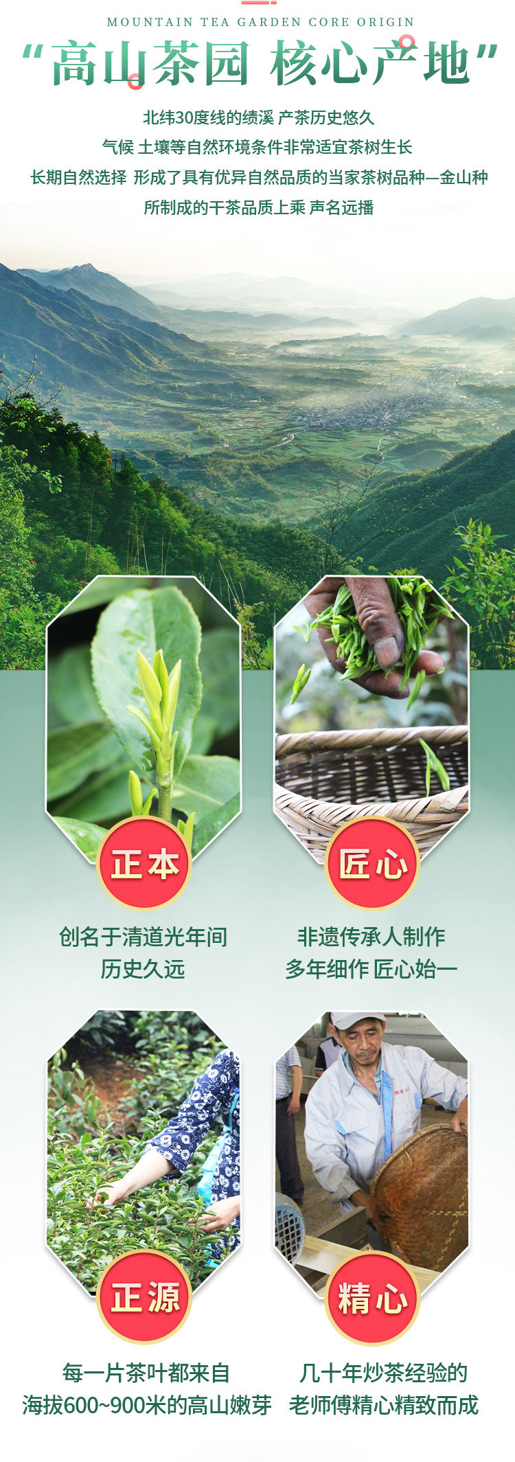 瀚徽 【消费帮扶】绩溪金山时雨二级 发髻型  250g*2袋 简装茶